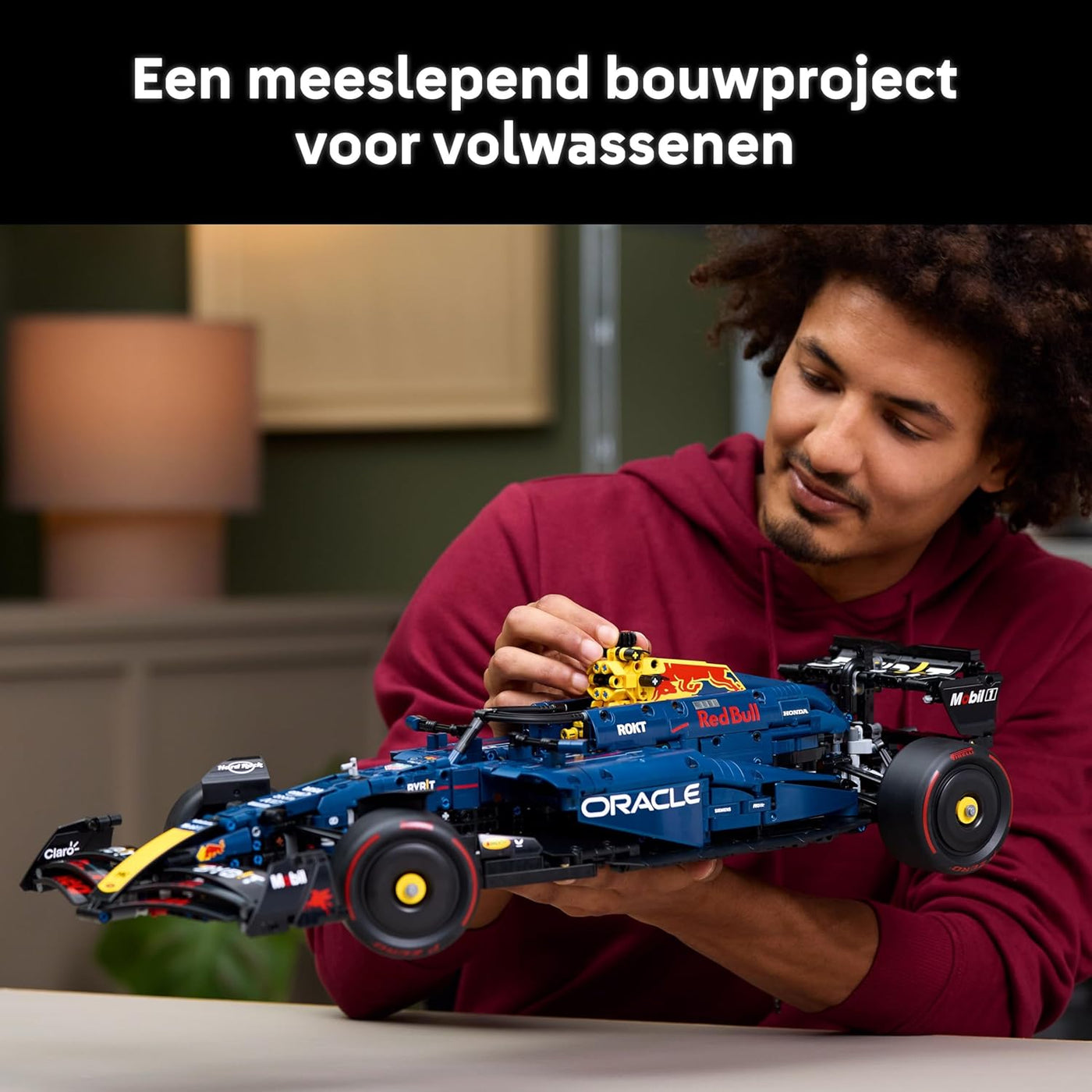LEGO Technic Red Bull Racing RB20 F1 - 42206
